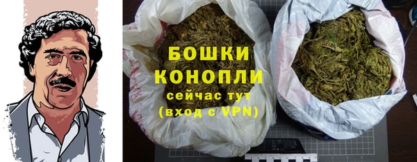соль ск Няндома
