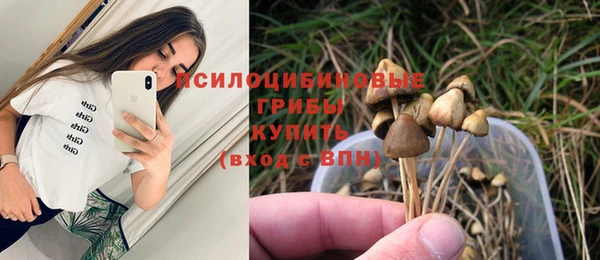 винт Алексеевка
