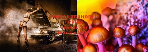 бутират Алексин