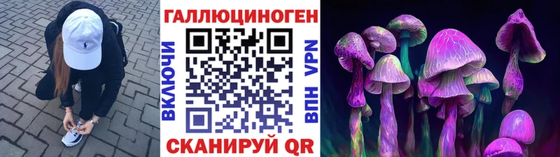 Псилоцибиновые грибы прущие грибы Сенгилей