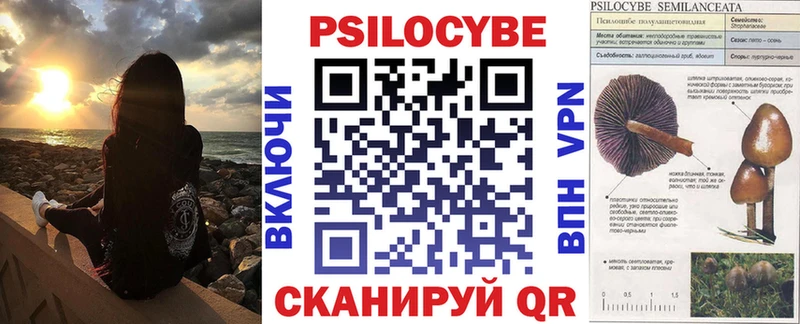 как найти   это клад  Псилоцибиновые грибы Cubensis  Сенгилей 